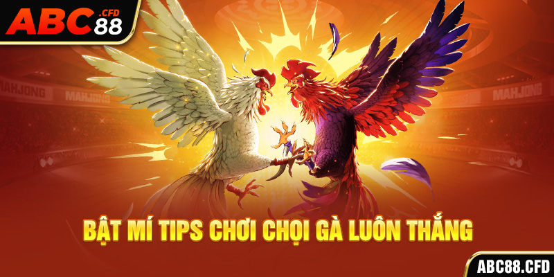 Bật mí tips chơi chọi gà luôn thắng