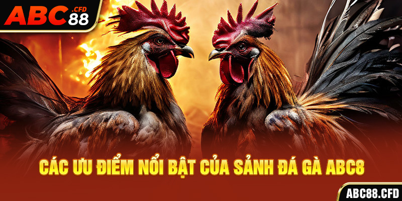 Các ưu điểm nổi bật của sảnh đá gà ABC8